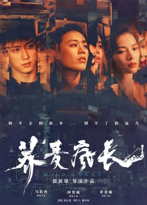 Memominee : Stout学历学位认证